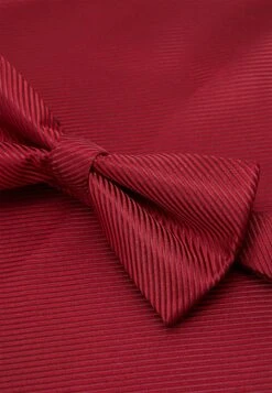 Pier One Set - Cravate - Bordeaux -Pier One Soldes Magasin 78c94279a24a403593e284544b5065b2